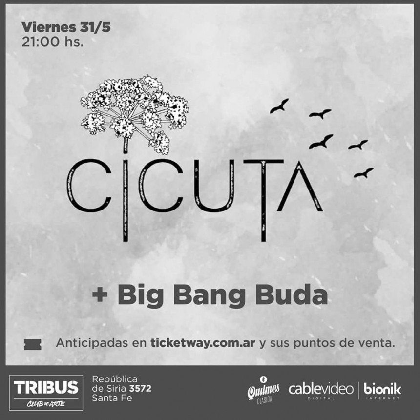 31/5 - CICUTA + BIG BANG BUDA en Tribus